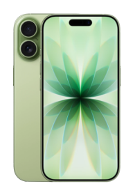 Apple iPhone 17 256GB, Sage, refurbished