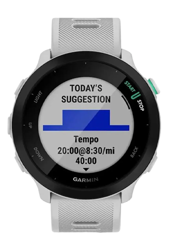 Garmin Forerunner 55 White, 010-02562-15