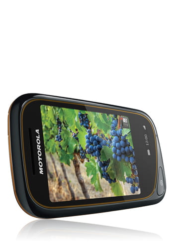 Motorola Wilder licorice and saffron