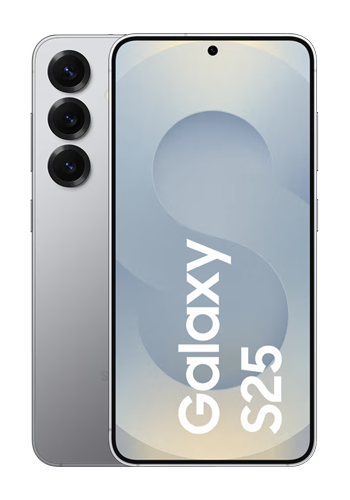 Samsung Galaxy S25 256GB, 12GB RAM, Silver Shadow